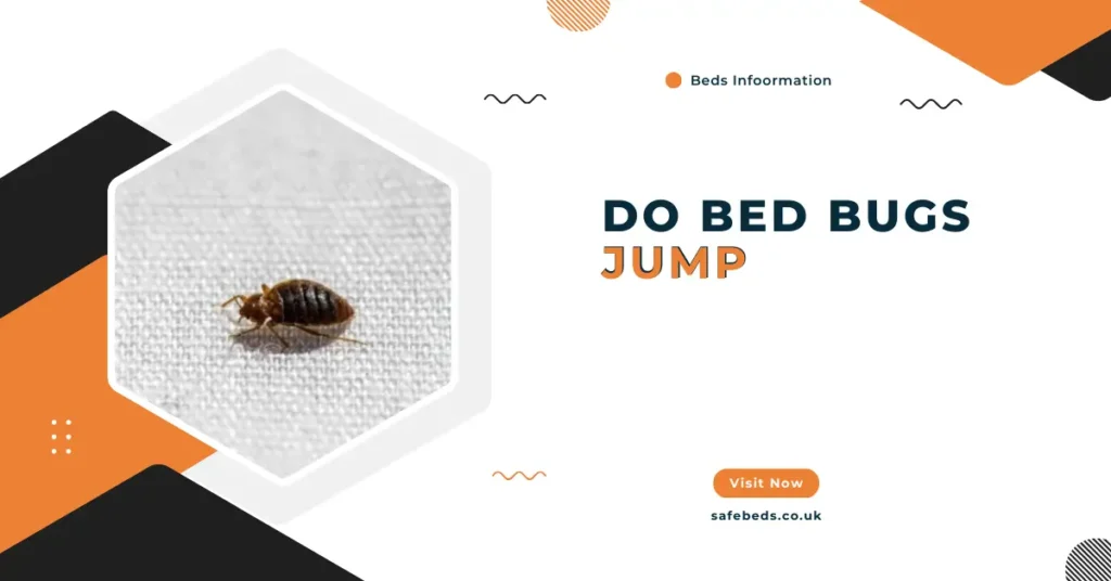 Do Bed Bugs Jump